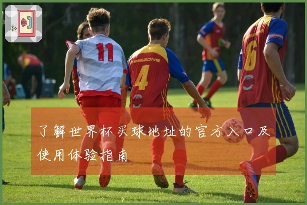 了解世界杯买球地址的官方入口及使用体验指南