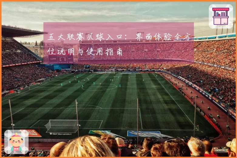 五大联赛买球入口：界面体验全方位说明与使用指南