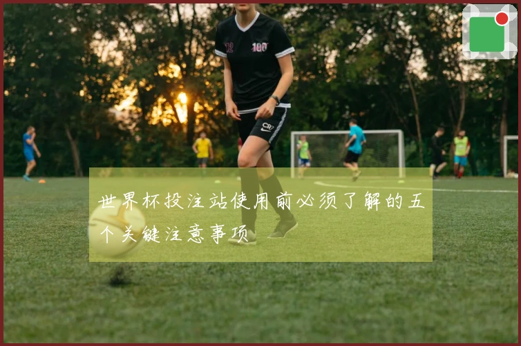 世界杯投注站使用前必须了解的五个关键注意事项