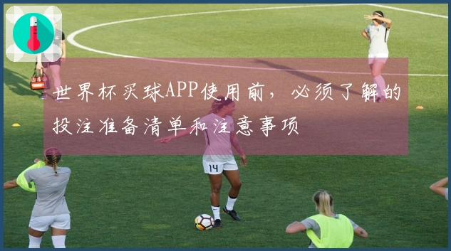世界杯买球APP使用前，必须了解的投注准备清单和注意事项