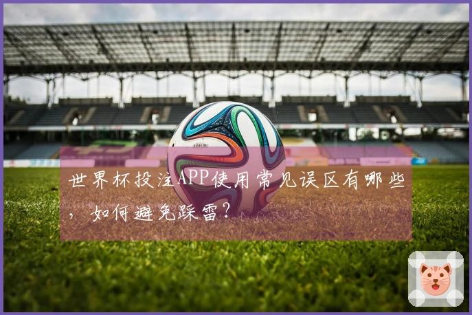 世界杯投注APP使用常见误区有哪些，如何避免踩雷？