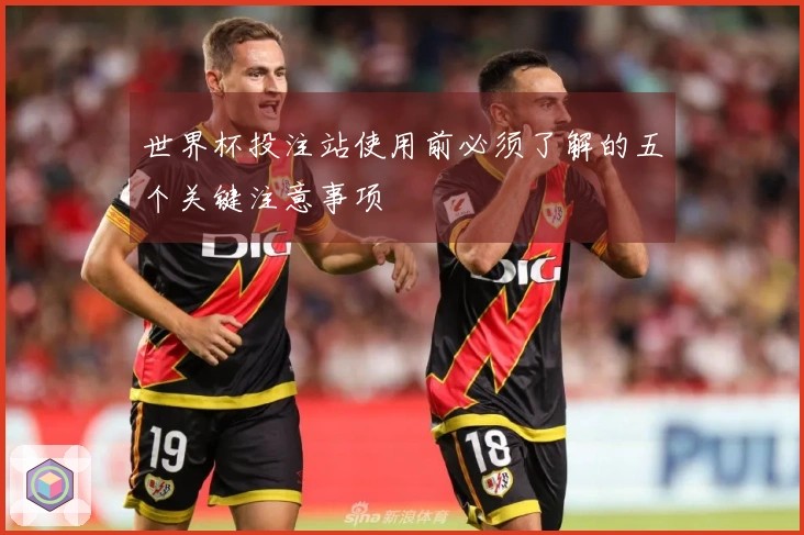 世界杯投注站使用前必须了解的五个关键注意事项