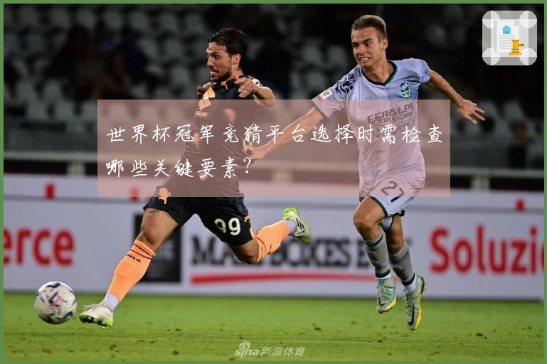 世界杯冠军竞猜平台选择时需检查哪些关键要素？