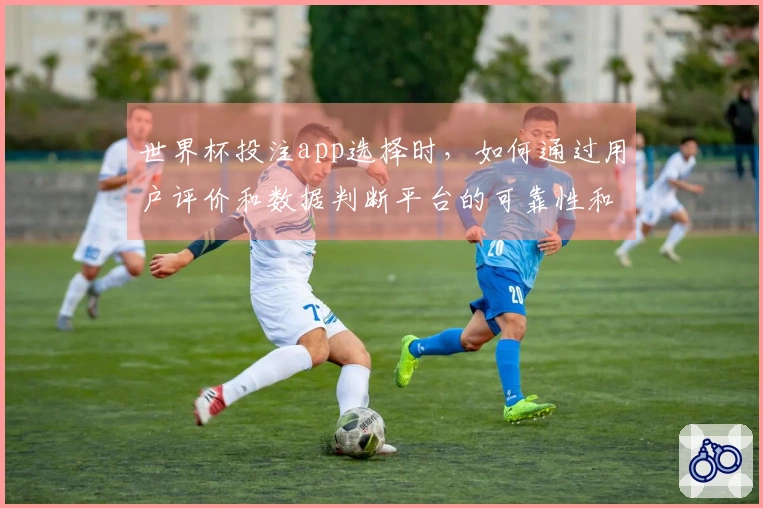世界杯投注app选择时，如何通过用户评价和数据判断平台的可靠性和安全性？