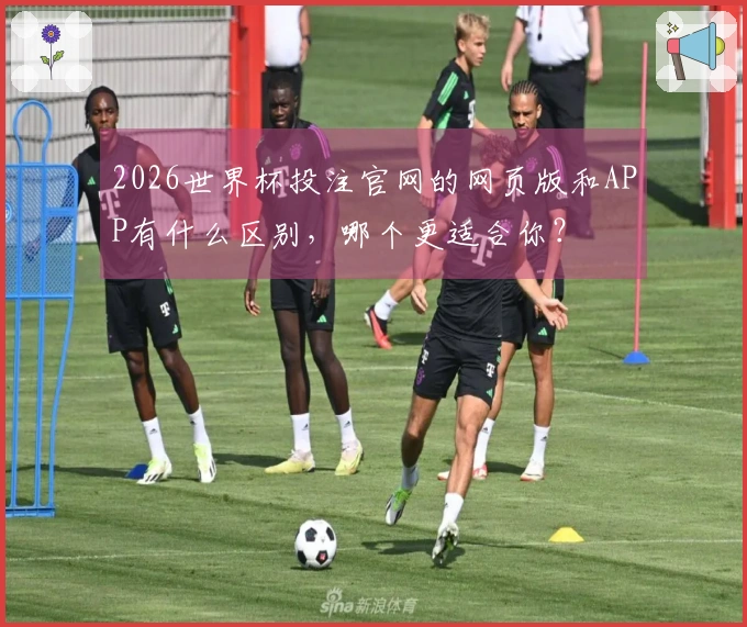 2026世界杯投注官网的网页版和APP有什么区别，哪个更适合你？