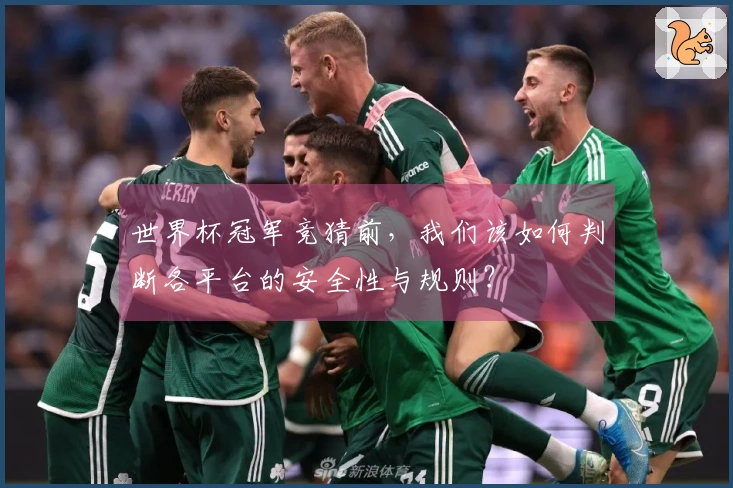 世界杯冠军竞猜前，我们该如何判断各平台的安全性与规则？