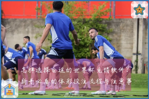 怎样选择合适的世界杯竞猜软件？新手必看的体彩投注流程与注意事项