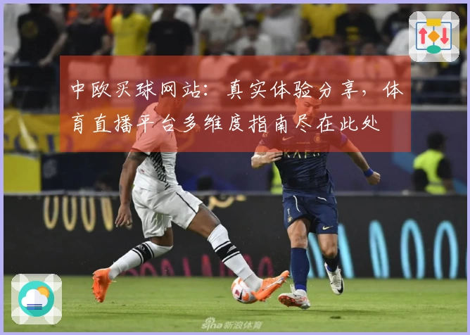 中欧买球网站：真实体验分享，体育直播平台多维度指南尽在此处