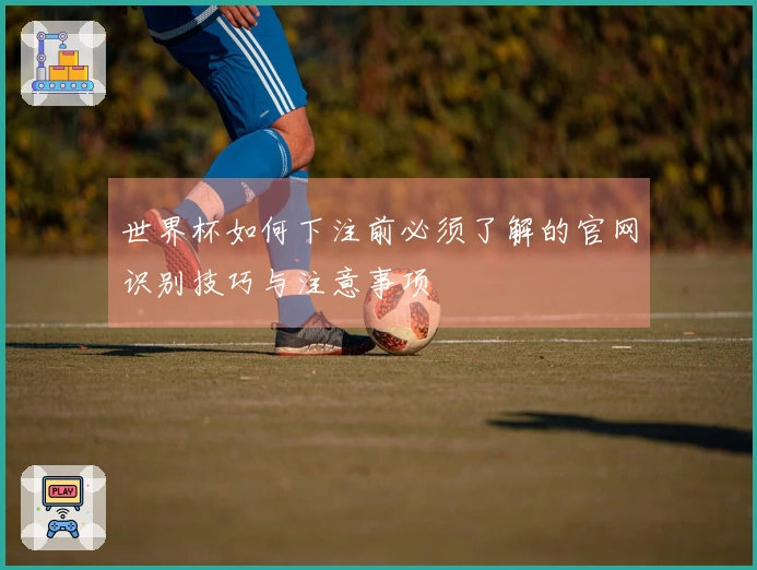 世界杯如何下注前必须了解的官网识别技巧与注意事项
