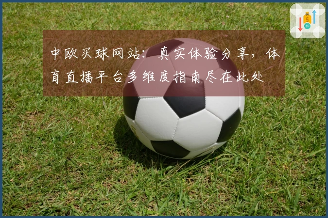 中欧买球网站：真实体验分享，体育直播平台多维度指南尽在此处
