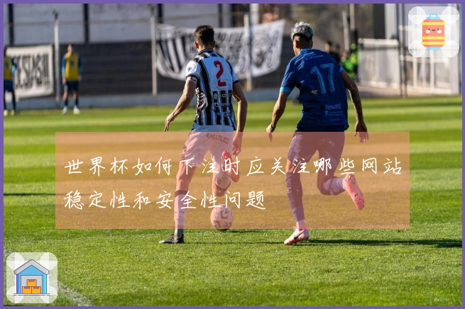 世界杯如何下注时应关注哪些网站稳定性和安全性问题