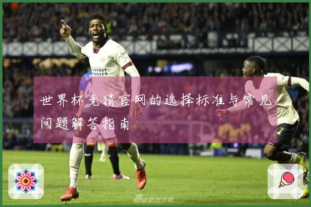 世界杯竞猜官网的选择标准与常见问题解答指南