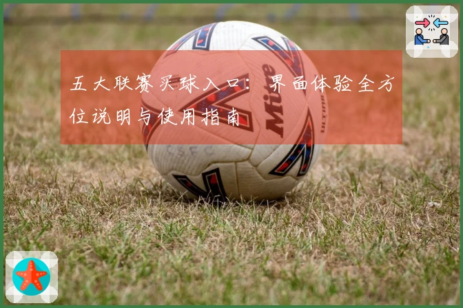 五大联赛买球入口：界面体验全方位说明与使用指南