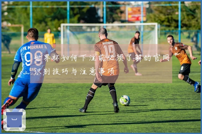 世界杯如何下注前必须了解的官网识别技巧与注意事项