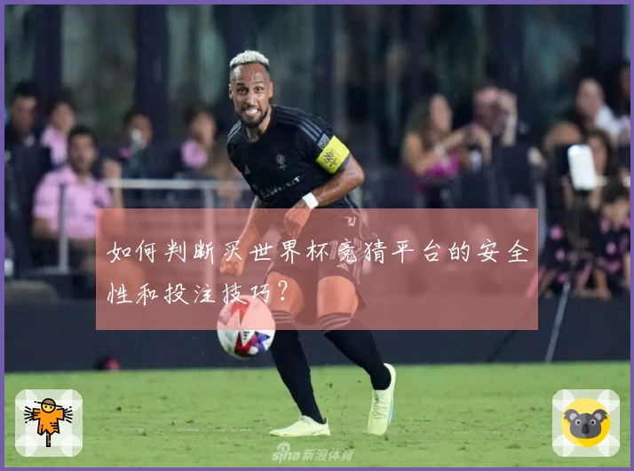 如何判断买世界杯竞猜平台的安全性和投注技巧？