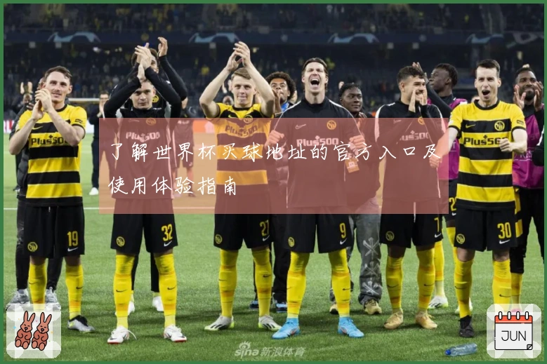 了解世界杯买球地址的官方入口及使用体验指南