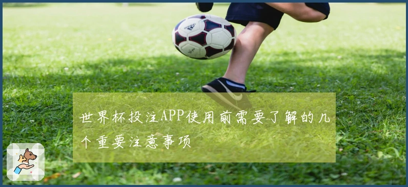 世界杯投注APP使用前需要了解的几个重要注意事项