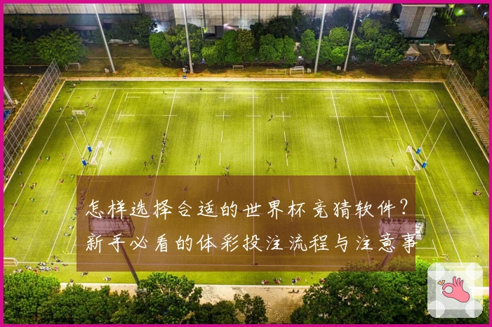 怎样选择合适的世界杯竞猜软件？新手必看的体彩投注流程与注意事项